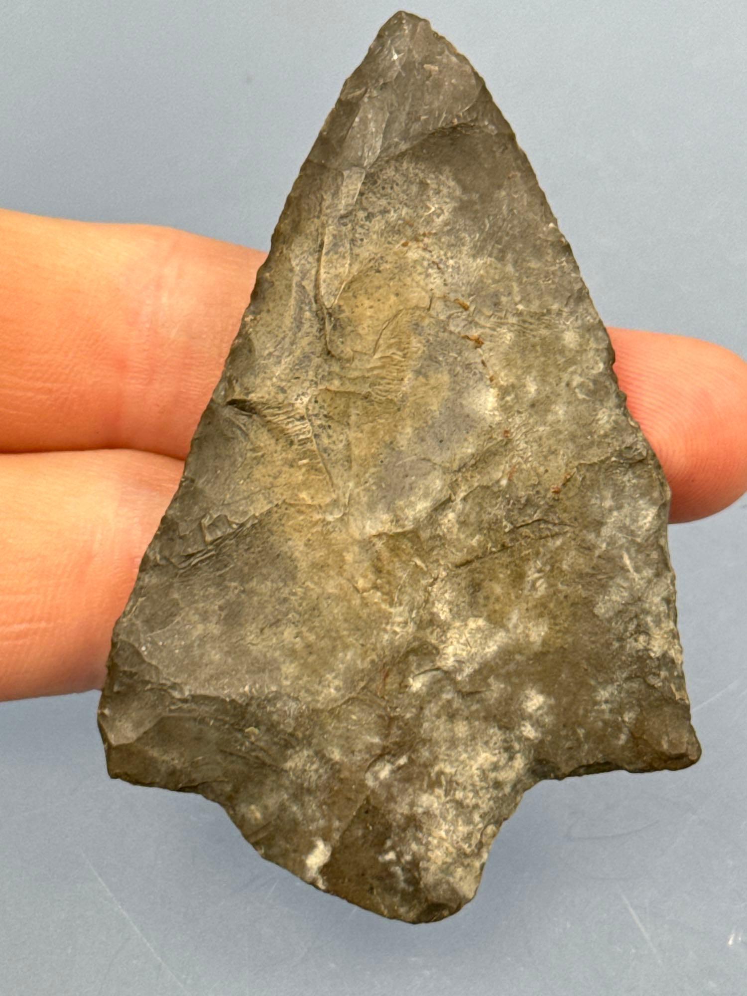 2 3/4" Normanskill Chert Lehigh Broadpoint, Nice Coloration, Found in New Jersey