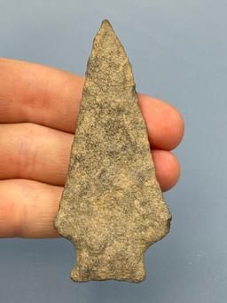 3 5/16" Argillite Transitional Broad Spear, Found in New Jersey