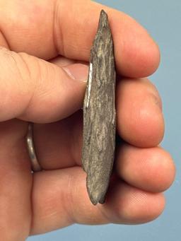 2 1/2" Argillite Fox Cree Lanceolate Point, Found in PA/NJ/NY Tristate Area, Ex: Harry Mucklin, Lema