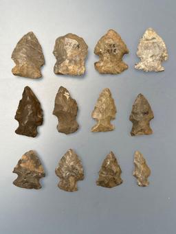 12 Fine Smaller Points, Chert, Longest is 1 1/2", Found in New York State, Ex: Dave Summers Collecti