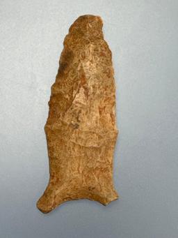 2 1/16" Transitional Paleo Quad, THIN, Heavily Ground Lower Sides/Base, Ex: Shelby Collection