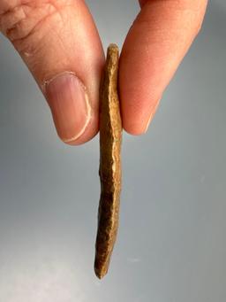 2 1/16" Transitional Paleo Quad, THIN, Heavily Ground Lower Sides/Base, Ex: Shelby Collection