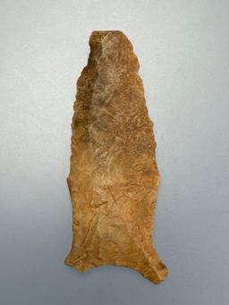 2 1/16" Transitional Paleo Quad, THIN, Heavily Ground Lower Sides/Base, Ex: Shelby Collection