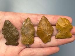 Lot of 4 Jasper Points, Longest is 1 3/8", Found in Northampton Co., PA, Ex: Burley Museum Collectio