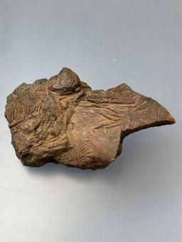 Dense Metal Bearing Rock, Found in Trucker River Canyon in California in May of 2014