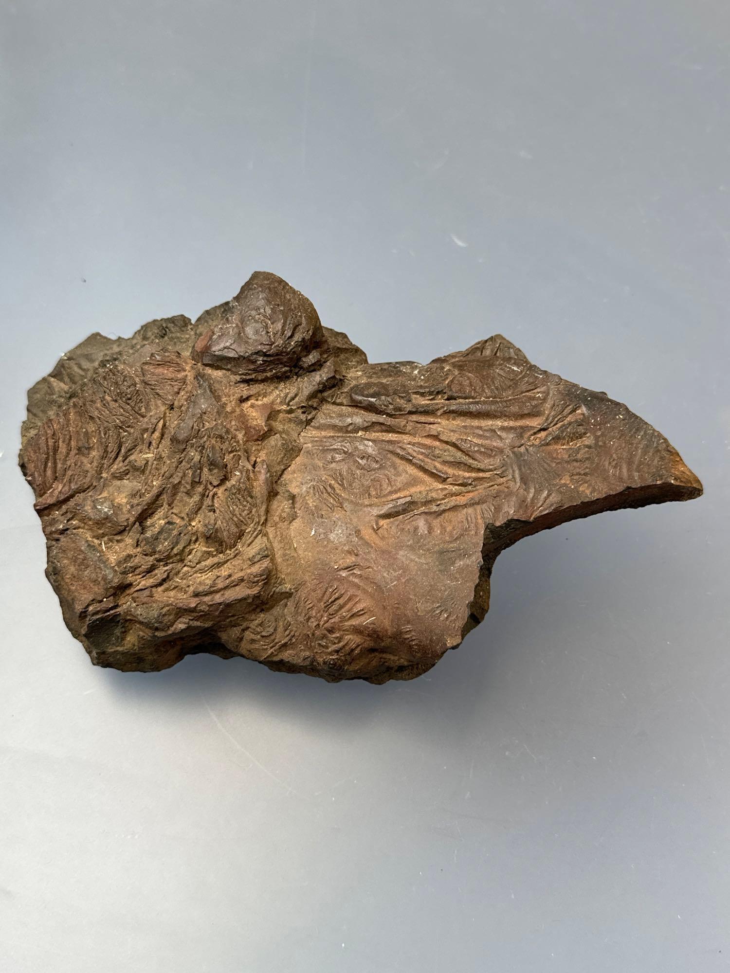 Dense Metal Bearing Rock, Found in Trucker River Canyon in California in May of 2014