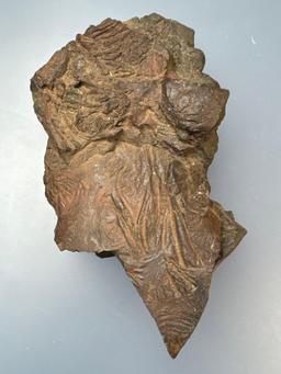 Dense Metal Bearing Rock, Found in Trucker River Canyon in California in May of 2014
