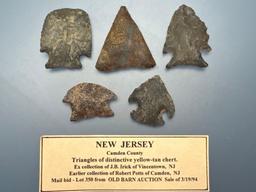 Lot of Various Points, Nice Examples, Found in Camden Co., NJ, Ex: JB Irick, Robert Potts, Pat Sutto