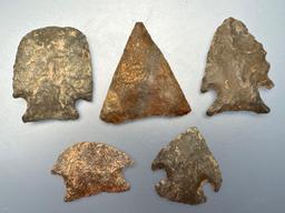 Lot of Various Points, Nice Examples, Found in Camden Co., NJ, Ex: JB Irick, Robert Potts, Pat Sutto