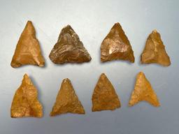 8 Nice Jasper Triangle Points, Longest is 1 3/8", Found in Northampton Co., PA by the Burley Family,