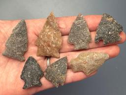 7 Fine Corner Notch/Side Notch Quartzite Points, Longest is 1 3/4", Found in Northampton Co., PA by