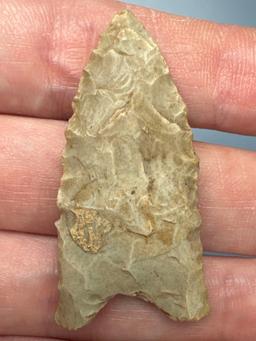 1 3/4" Late Paleo/Early Archaic Dalton, Found in Wake Co., North Carolina