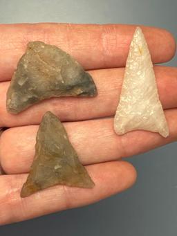 3 HIGH QUALITY Triangle Points, Chalcedony and Quartz, Longest is 1 3/8", Found in Wake Co., North C