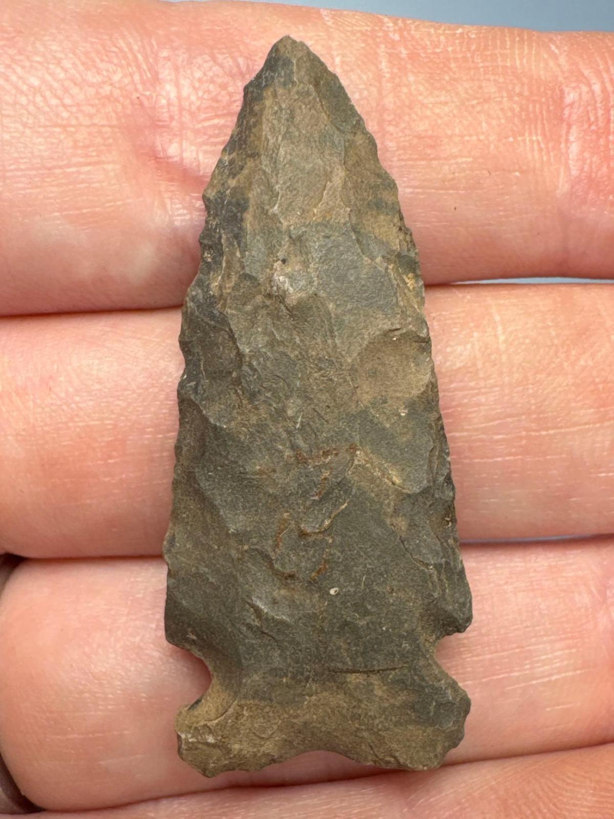 1 5/8" Side Notch Point, Chert, Found in New York