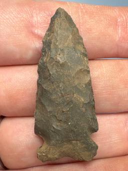 1 5/8" Side Notch Point, Chert, Found in New York