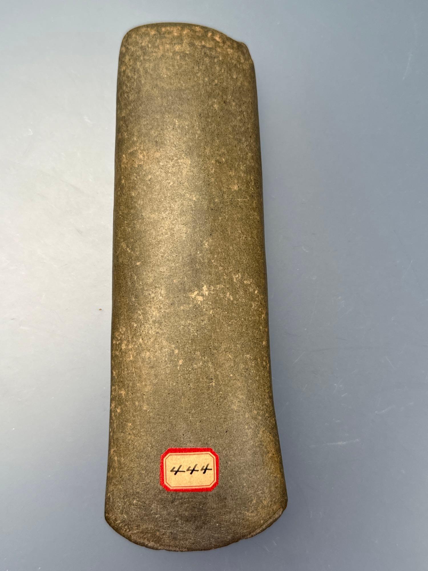 Stunning 7 1/8" Flared Bit Celt, Excellent Example, Found in Elmira, Missouri, Great Condition