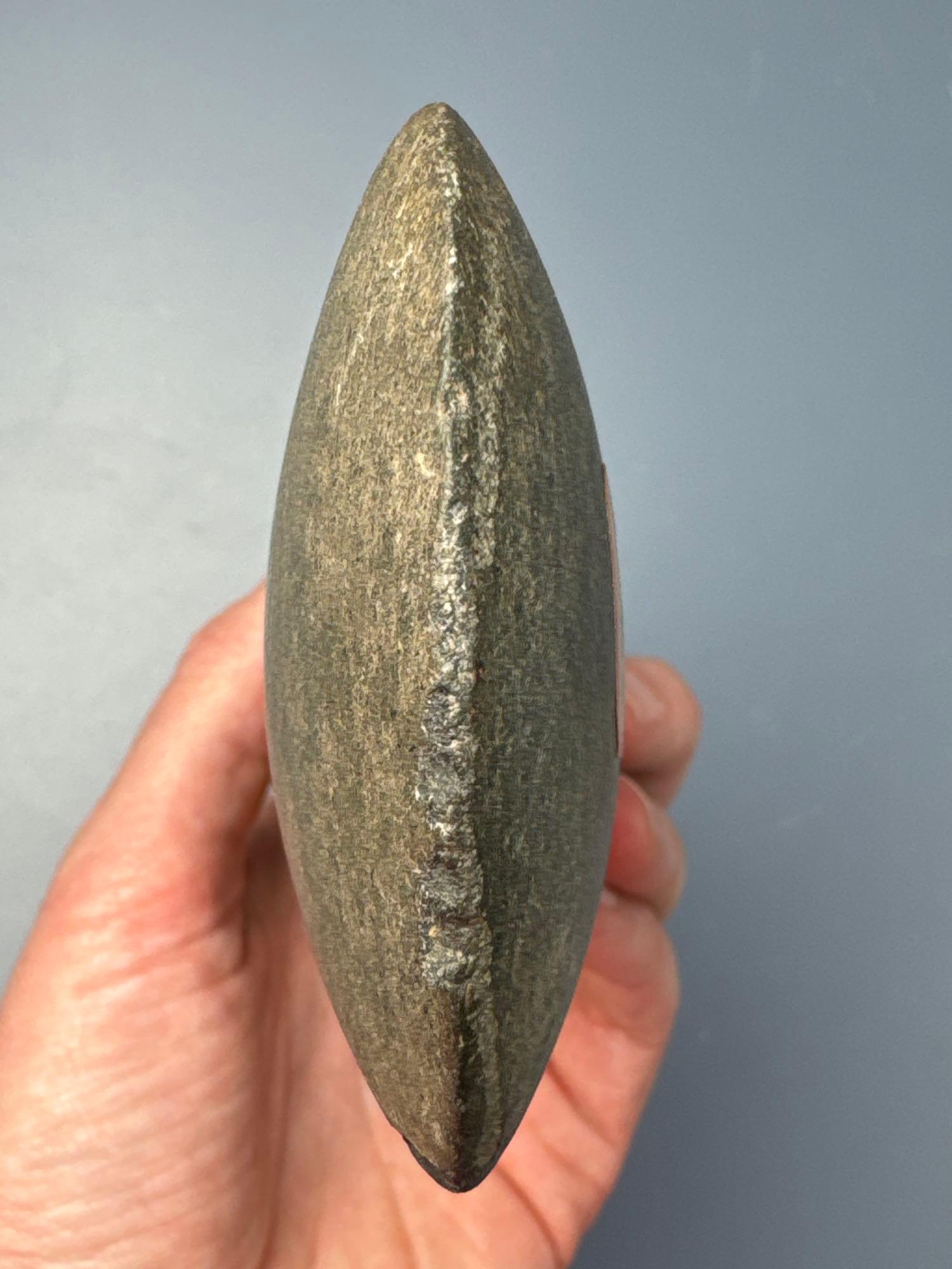 Stunning 7 1/8" Flared Bit Celt, Excellent Example, Found in Elmira, Missouri, Great Condition