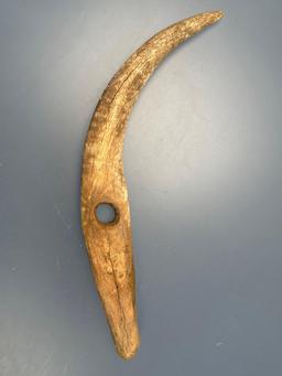 Massive 10 3/4" Antler Tool, Reported to be Found in New York, Perforated Large Hole in Middle