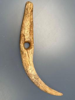 Massive 10 3/4" Antler Tool, Reported to be Found in New York, Perforated Large Hole in Middle