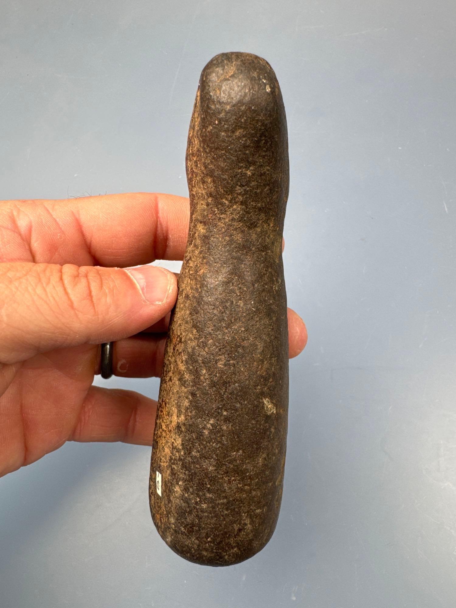 Exceedingly Rare Bear Effigy Pestle, Found in New York, Ex: Raysender Collection, Well-Made, Measure