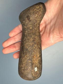 Exceedingly Rare Bear Effigy Pestle, Found in New York, Ex: Raysender Collection, Well-Made, Measure