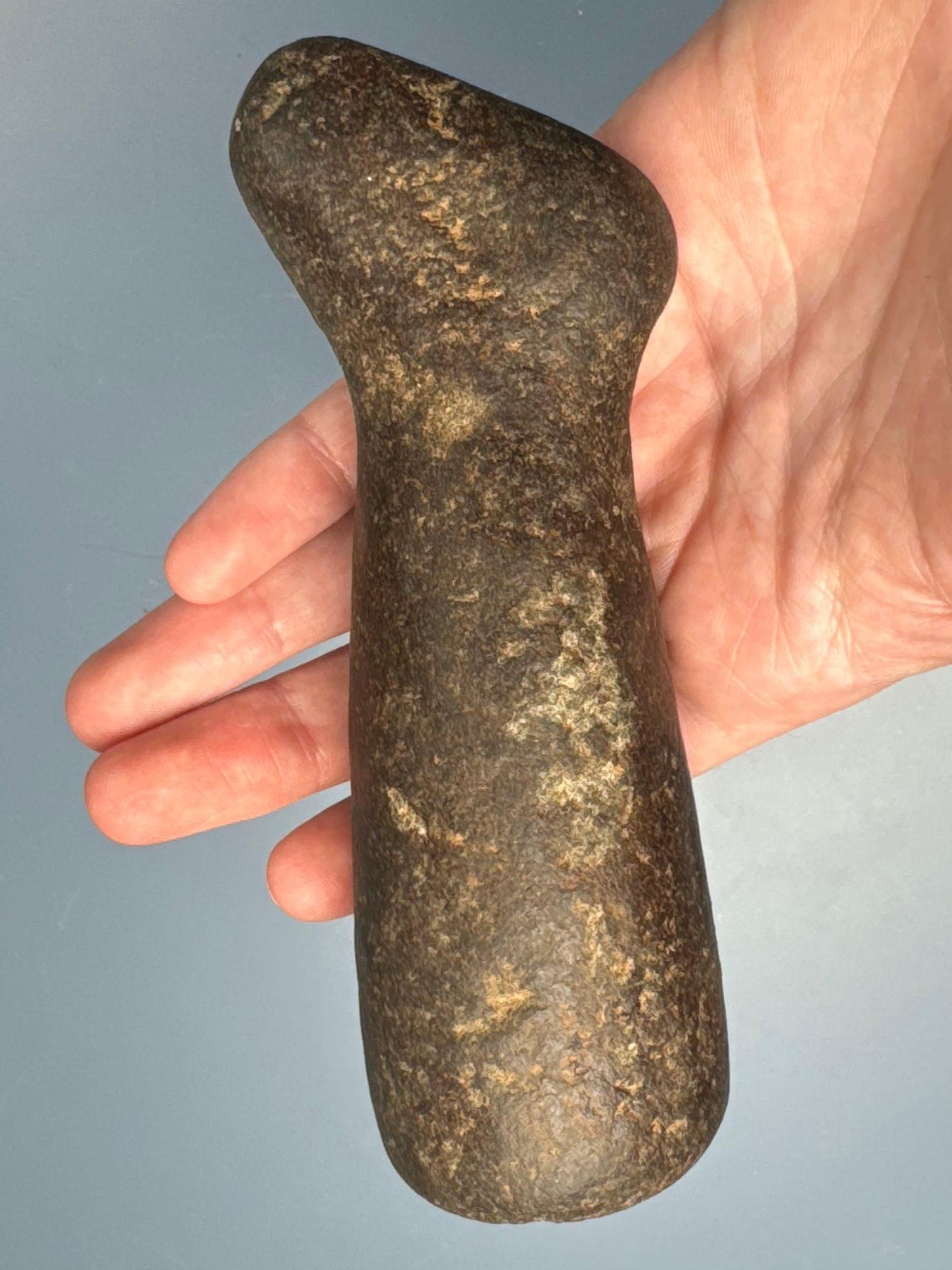 Exceedingly Rare Bear Effigy Pestle, Found in New York, Ex: Raysender Collection, Well-Made, Measure