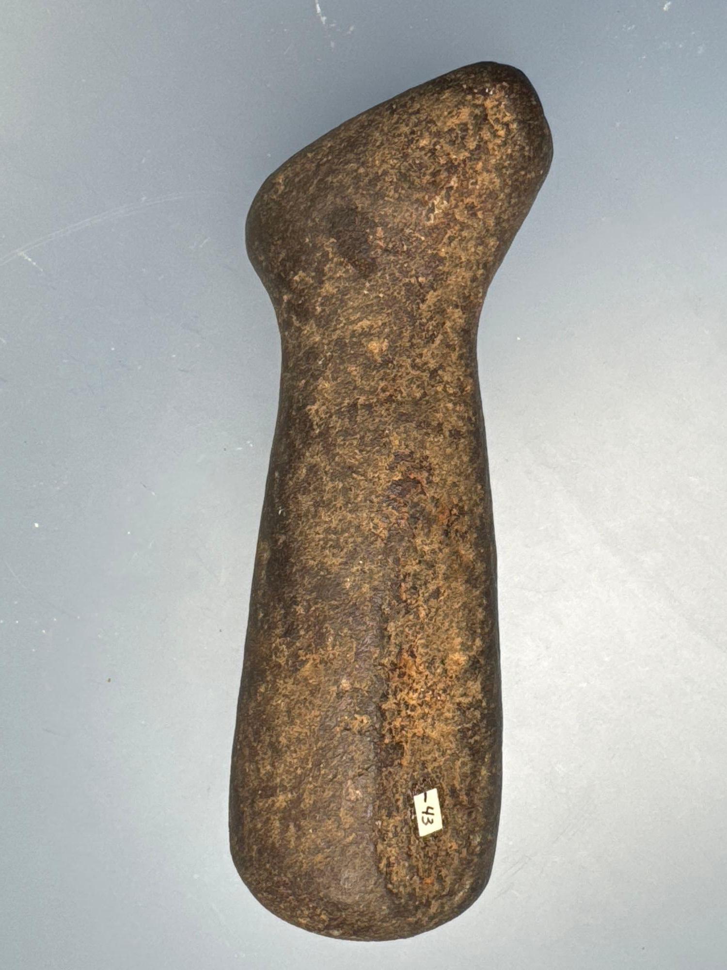 Exceedingly Rare Bear Effigy Pestle, Found in New York, Ex: Raysender Collection, Well-Made, Measure
