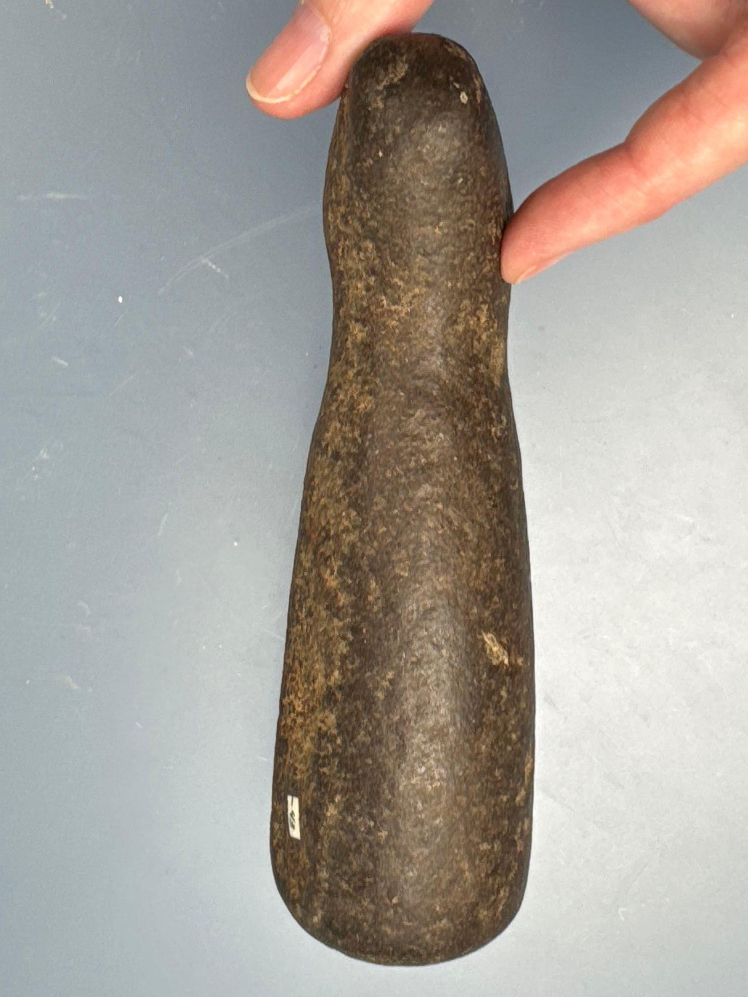 Exceedingly Rare Bear Effigy Pestle, Found in New York, Ex: Raysender Collection, Well-Made, Measure