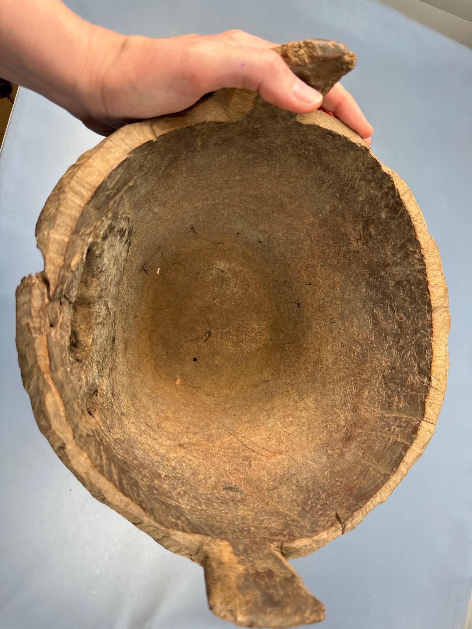 Exceedingly Rare Red Cedar Burl Bowl, Columbia River Salmon Mortar, Early 1800's (Possibly Older), 1