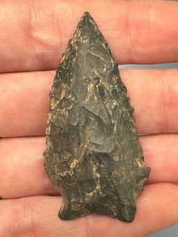 Nice 2" Chert Point, Found in Wake Co., North Carolina