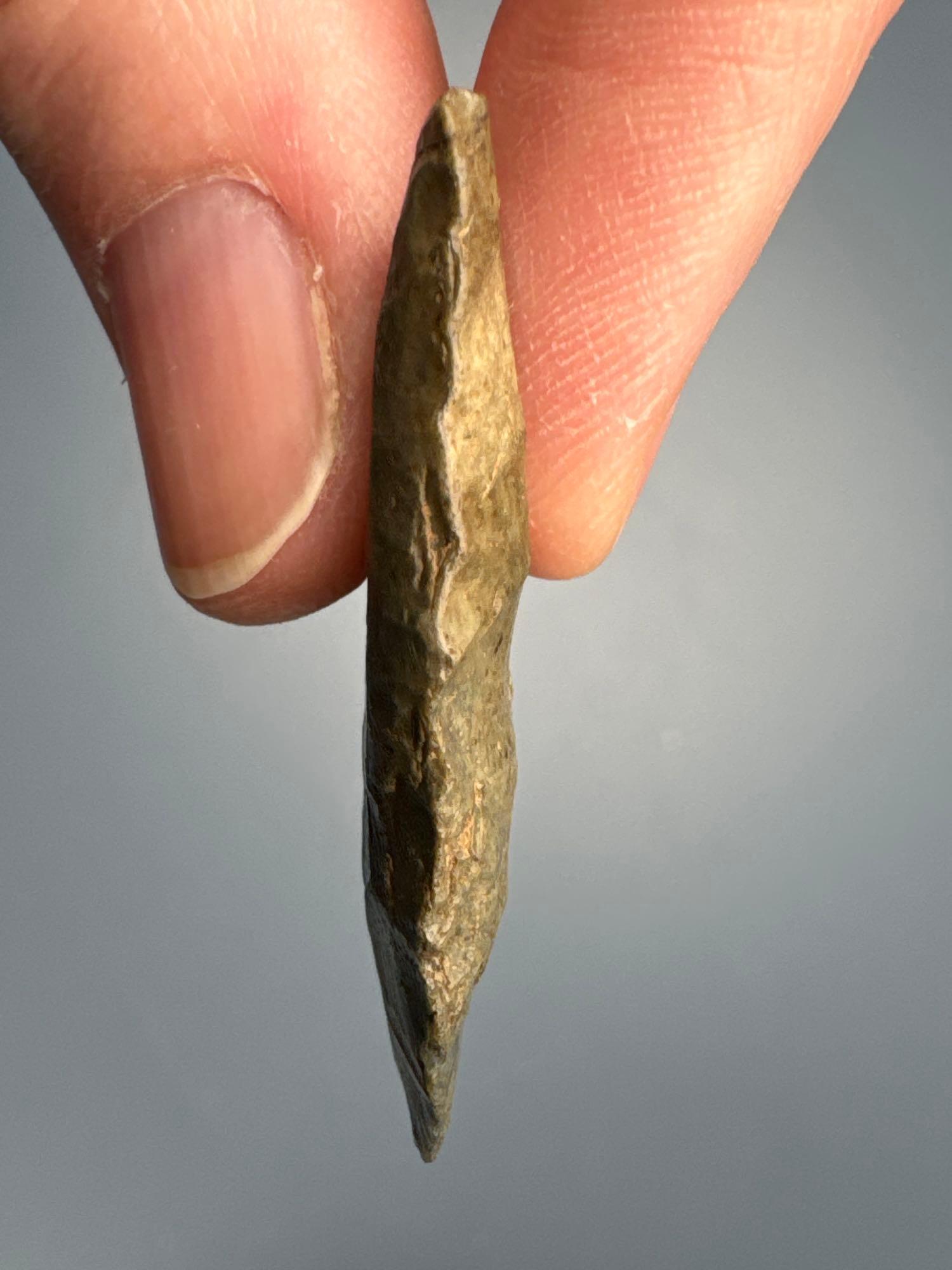 RARE 1 7/16" Green Normanskill Fluted Clovis, Paleo, Found in Bradford Co., PA, PICTURED Fogelman's