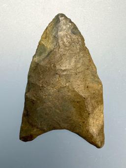 RARE 1 7/16" Green Normanskill Fluted Clovis, Paleo, Found in Bradford Co., PA, PICTURED Fogelman's