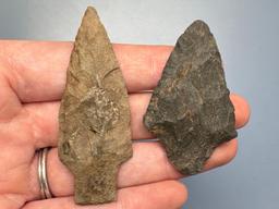 Pair of Stem Points, Found in Jim Thorpe Area in Pennsylvania, Longest is 2 1/2"