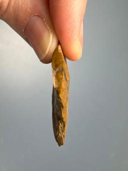 RARE 1 1/2" Jasper Cruciform Drill/Perforator, Found in Jim Thorpe Area in Pennsylvania