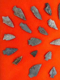 30 Arrowheads, Points Found in Jim Thorpe Area in Pennsylvania, Longest is 2 1/2"