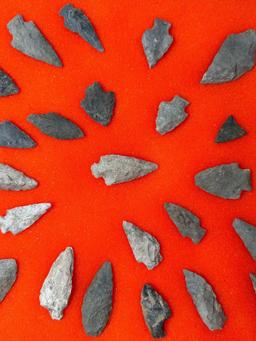 30 Arrowheads, Points Found in Jim Thorpe Area in Pennsylvania, Longest is 2 1/2"