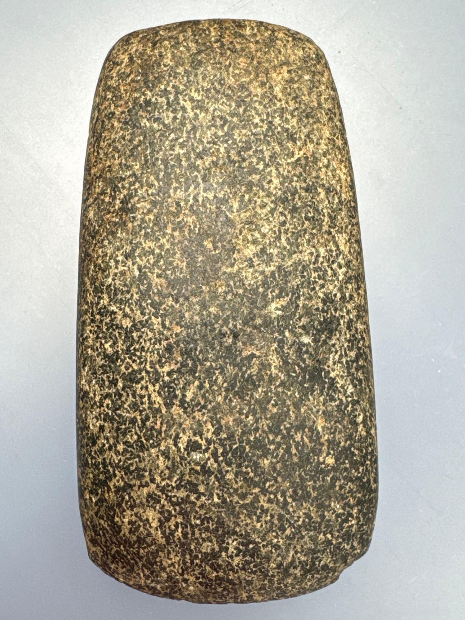 SUPERB 4 1/4" Polished Hardstone Celt, Found in Seneca Co., Ohio, Well-Made Example, Ex: Walt Podpor