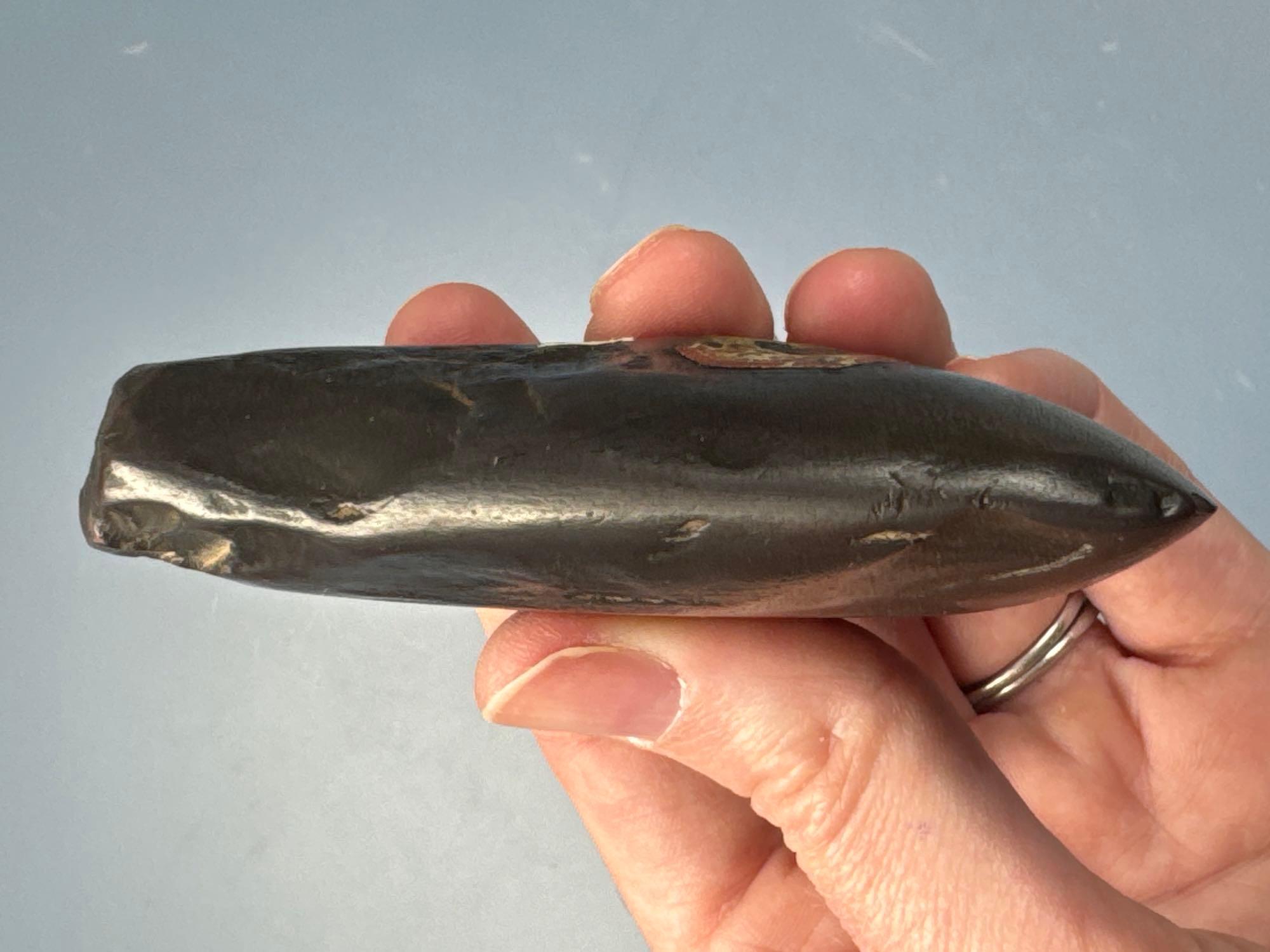 Impressive 3 1/4" Hematite Celt, Highly Polished Bit, Found in Missouri, Ex: Bob Sharp, Walt Podpora