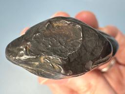 Impressive 3 1/4" Hematite Celt, Highly Polished Bit, Found in Missouri, Ex: Bob Sharp, Walt Podpora