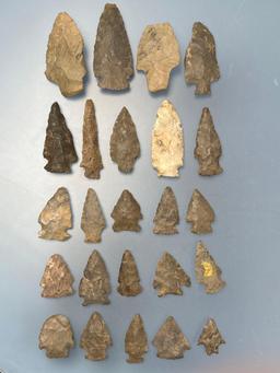 NICE Lot of 24 Various Esopus Chert, Rhyolite Points, From a New York Collection, Longest is 3 1/16"