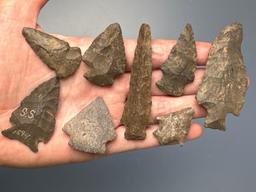 NICE Lot of 24 Various Esopus Chert, Rhyolite Points, From a New York Collection, Longest is 3 1/16"