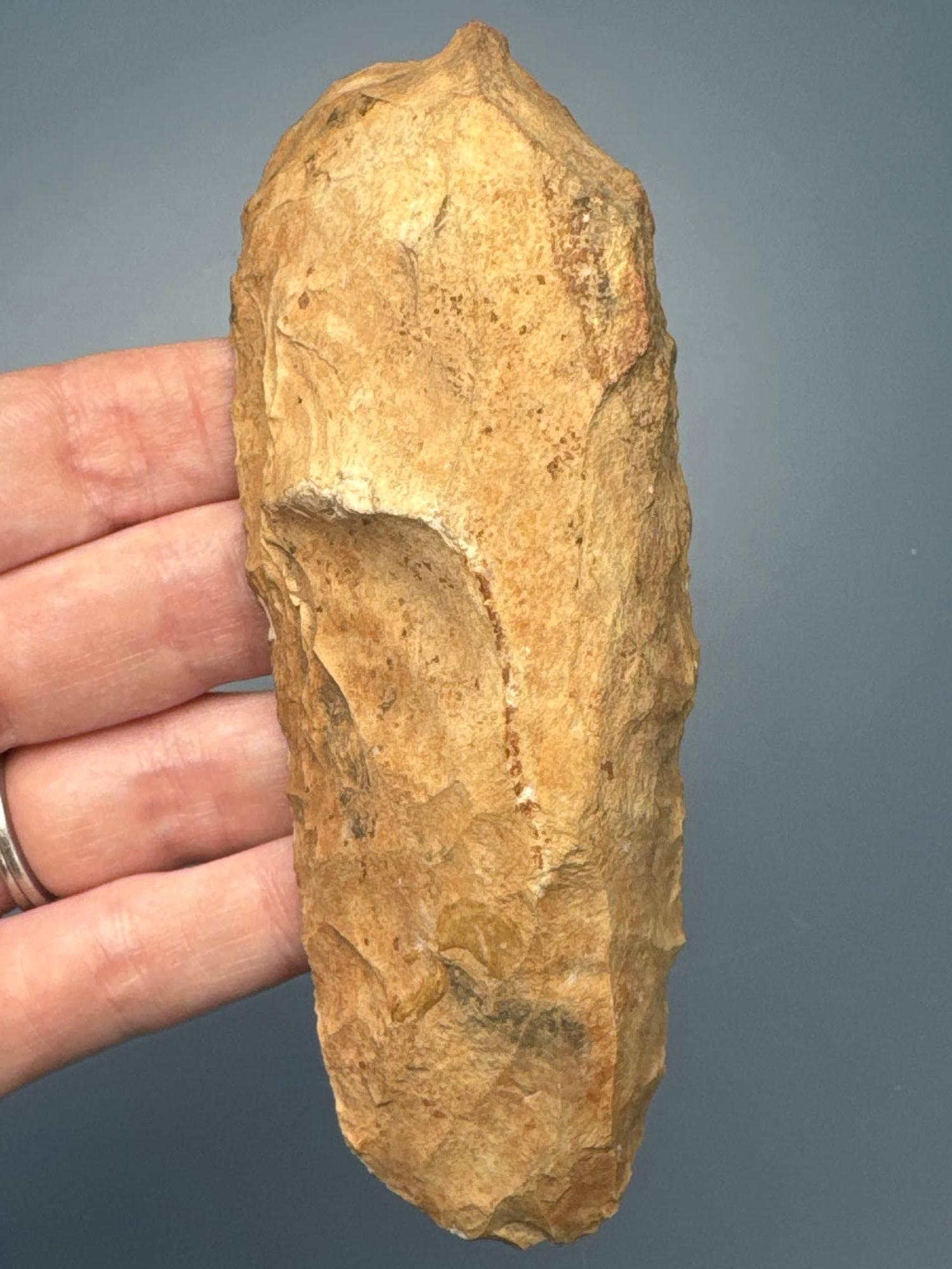 Large 4 3/4" Uniface Paleo Turtle Back Scraper, Found in Florida, Coastal Plains Chert, Superb Examp