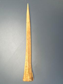 5 1/2" Bone Awl, Nice Example, Found in Ontario Co., NY, Ex: Dean Thomas