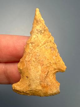 1 5/8" Coastal Plains Chert Bolen Bevel Point, Found in South Carolina, Stunning Bevel! Ex: Cicero C