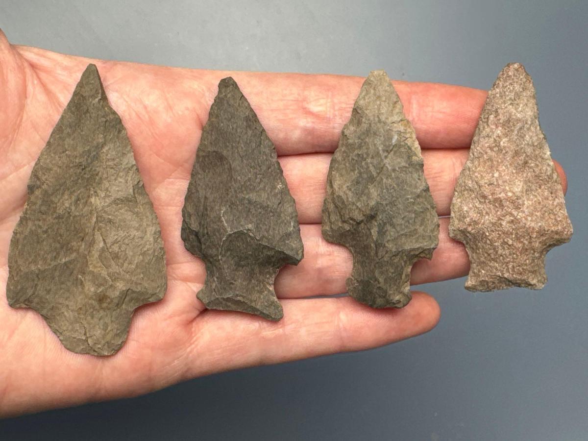 5 Nice Arrowheads, Stemmed, Found in Jim Thorpe Area in Pennsylvania, Longest is 2 1/2"