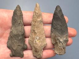3 Well-Made Stemmed Points, Carbon Co., Chert, Found in Jim Thorpe Area in Pennsylvania, Longest is