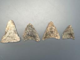 4 Rhyolite Triangle Points, Found in Jim Thorpe Area in Pennsylvania, Longest is 1 3/4"