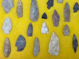 35 Nice Points, Arrowheads, Found in Jim Thorpe Area in Pennsylvania, Longest is 3 1/8"