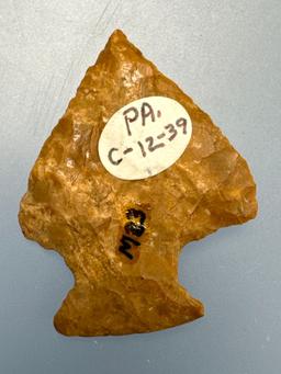 1 5/8" Yellow Jasper Perkiomen, Found in Pennsylvania, Ex: Walt Podpora Collection