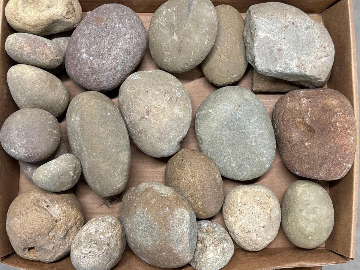 Large Lot of Hammerstones, Pitted Hammerstones, Manos, Found in Burlington Co., New Jersey Pick Up O